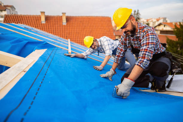 Best Roof Leak Repair  in Harlan, IA